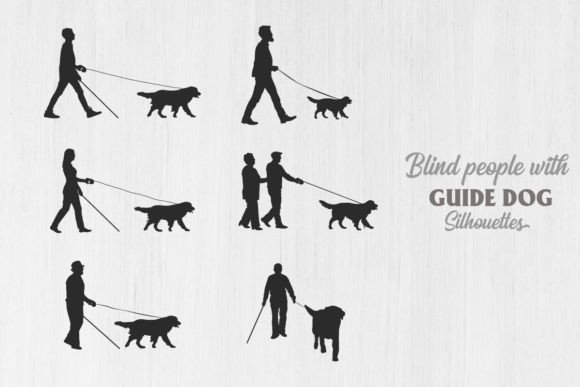 Blind People with Guide Dog Walking