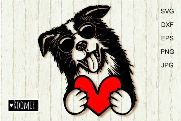 Cute Border Collie with Valentine Heart