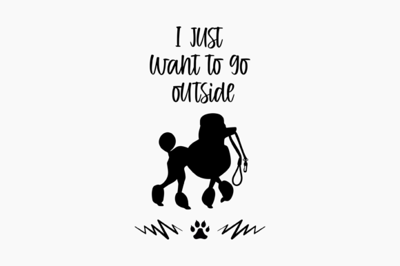 Dog Poodle Ask to Go Outside